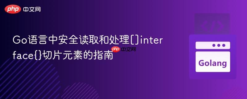 Go语言中安全读取和处理[]interface{}切片元素的指南