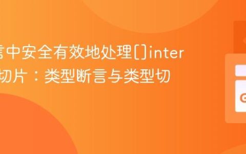Go语言中安全有效地处理[]interface{}切片：类型断言与类型切换