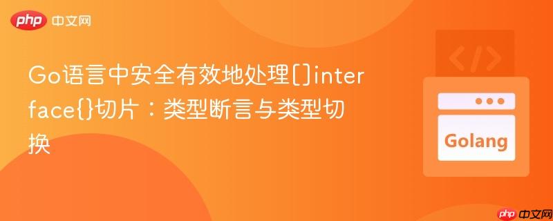 go语言中安全有效地处理[]interface{}切片：类型断言与类型切换