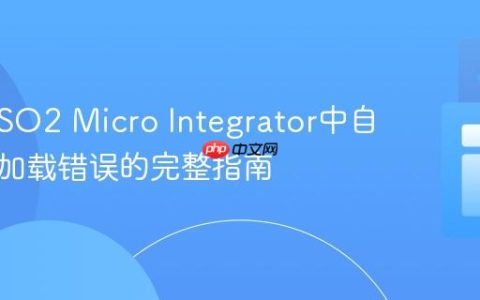 解决WSO2 Micro Integrator中自定义类加载错误的完整指南