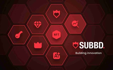 什么是SUBBD币？SUBBD价格预测2025-2030年