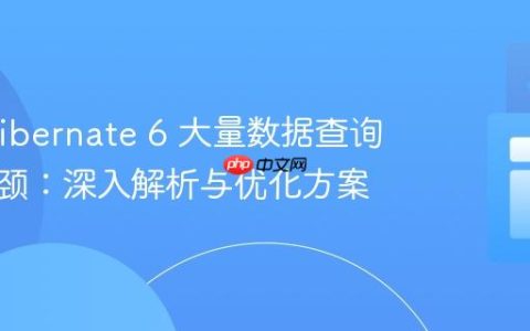 解决 Hibernate 6 大量数据查询性能瓶颈：深入解析与优化方案