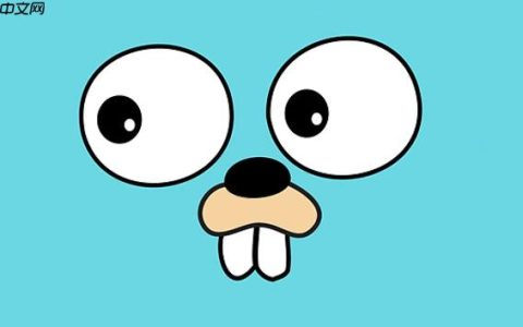 Golang HTTP 服务器如何处理文件请求_Golang 文件服务实现与性能优化