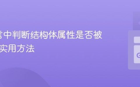 Go语言中判断结构体属性是否被设置的实用方法