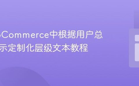 在WooCommerce中根据用户总消费显示定制化层级文本教程