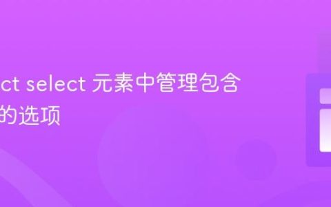 在 React select 元素中管理包含对象值的选项