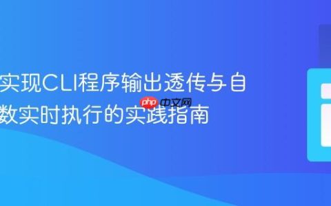 PHP中实现CLI程序输出透传与自定义函数实时执行的实践指南