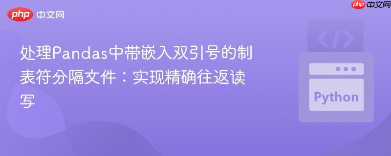 处理Pandas中带嵌入双引号的制表符分隔文件：实现精确往返读写