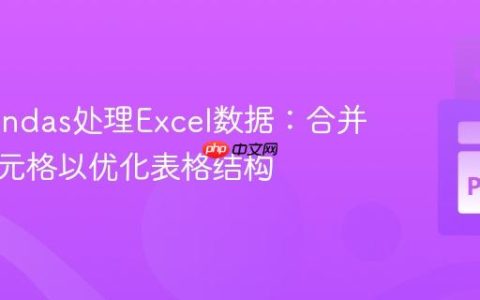 使用Pandas处理Excel数据：合并跨行单元格以优化表格结构