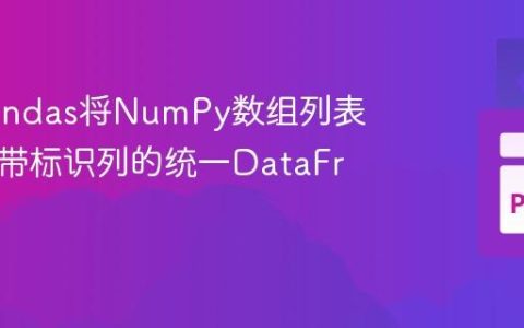 使用Pandas将NumPy数组列表转换为带标识列的统一DataFrame
