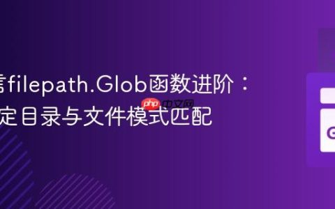 Go语言filepath.Glob函数进阶：动态指定目录与文件模式匹配