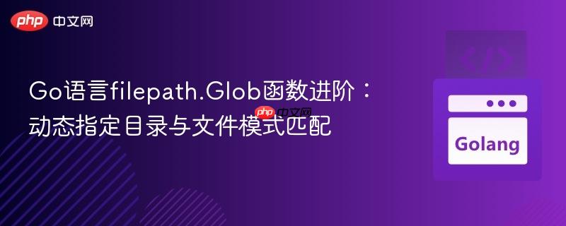 Go语言filepath.Glob函数进阶:动态指定目录与文件模式匹配