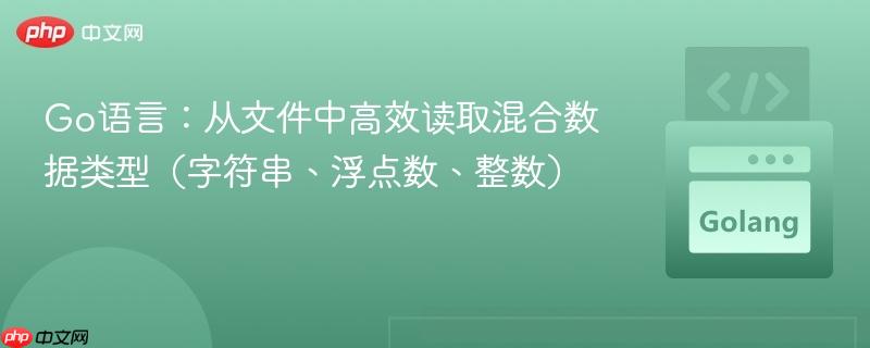 Go语言:从文件中高效读取混合数据类型(字符串、浮点数、整数)