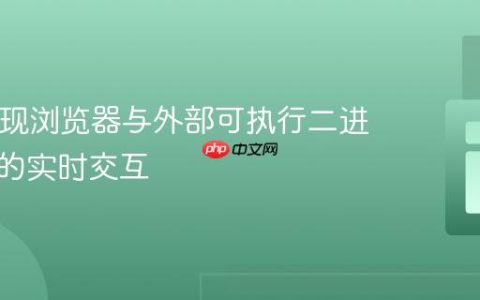 PHP实现浏览器与外部可执行二进制文件的实时交互