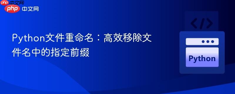 Python文件重命名:高效移除文件名中的指定前缀