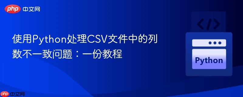 使用Python处理CSV文件中的列数不一致问题:一份教程