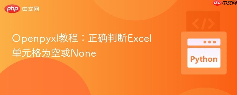 Openpyxl教程：正确判断Excel单元格为空或None
