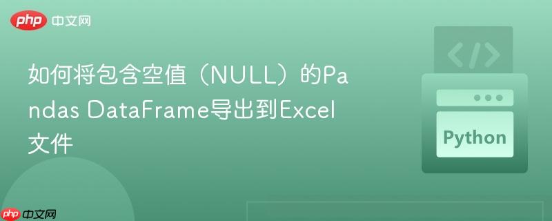 如何将包含空值(null)的pandas dataframe导出到excel文件
