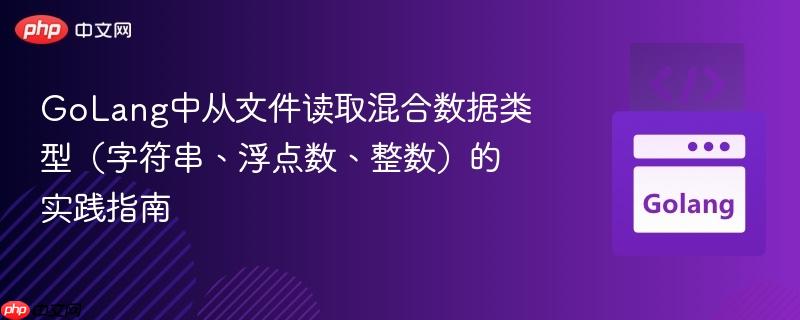GoLang中从文件读取混合数据类型(字符串、浮点数、整数)的实践指南