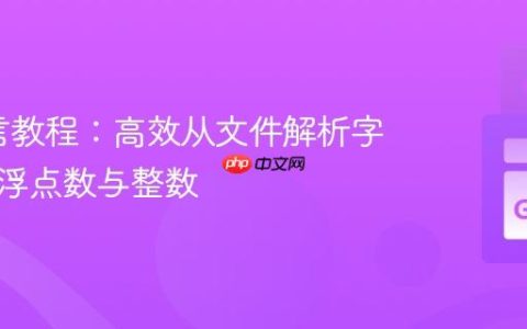 Go语言教程：高效从文件解析字符串、浮点数与整数