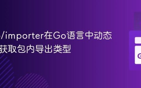 使用go/importer在Go语言中动态分析和获取包内导出类型