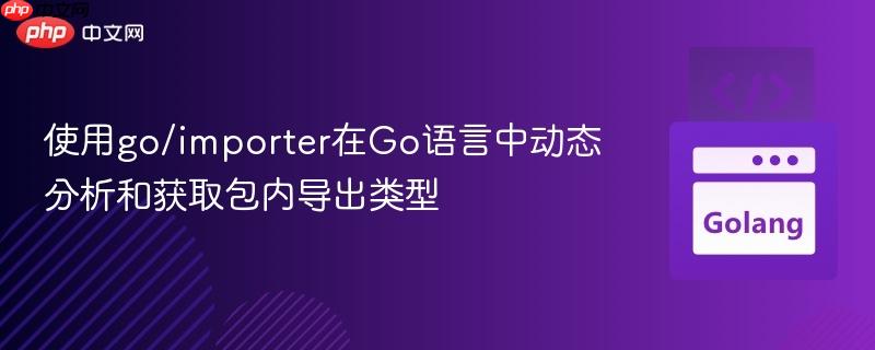使用go/importer在Go语言中动态分析和获取包内导出类型
