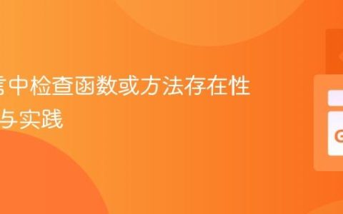 Go语言中检查函数或方法存在性的策略与实践