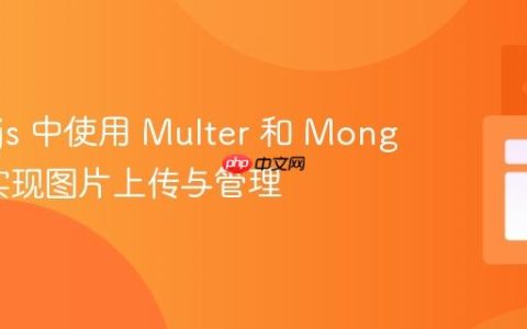 Node.js 中使用 Multer 和 MongoDB 实现图片上传与管理