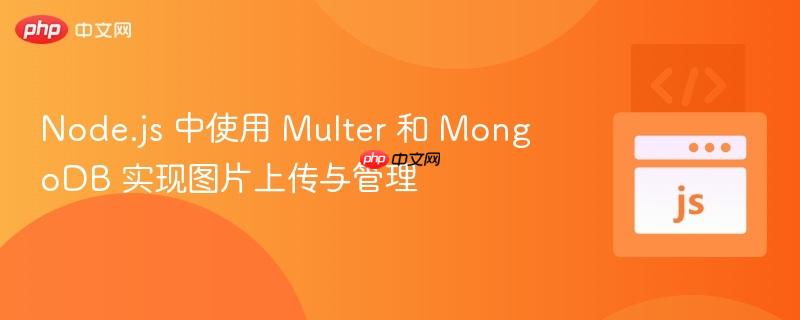 Node.js 中使用 Multer 和 MongoDB 实现图片上传与管理