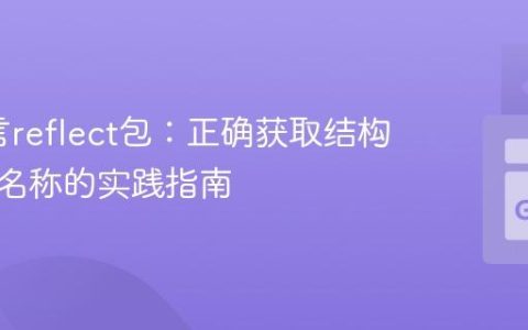 Go语言reflect包：正确获取结构体字段名称的实践指南