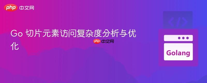 go 切片元素访问复杂度分析与优化