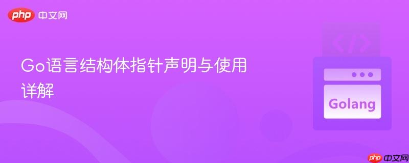 go语言结构体指针声明与使用详解