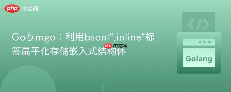 go与mgo:利用bson: