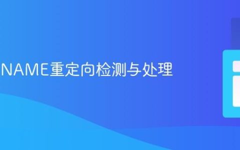 PHP CNAME重定向检测与处理