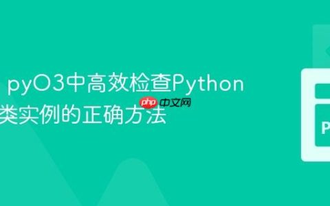 在Rust pyO3中高效检查Python自定义类实例的正确方法
