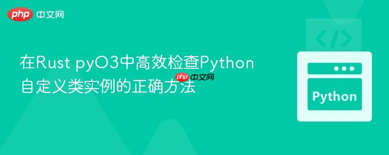 在Rust pyO3中高效检查Python自定义类实例的正确方法