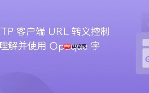 Go HTTP 客户端 URL 转义控制：深入理解并使用 Opaque 字段