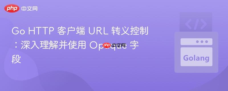 Go HTTP 客户端 URL 转义控制:深入理解并使用 Opaque 字段
