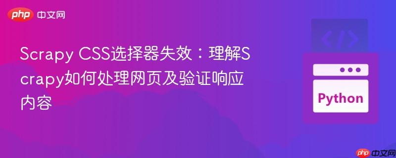scrapy css选择器失效:理解scrapy如何处理网页及验证响应内容