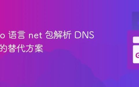 利用 Go 语言 net 包解析 DNS 数据包的替代方案