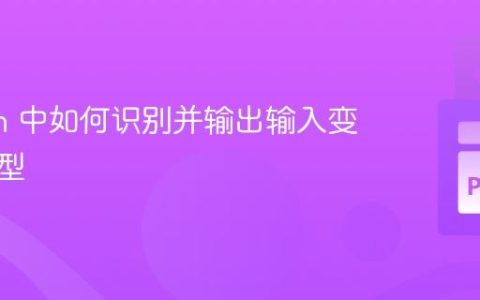 Python 中如何识别并输出输入变量的类型