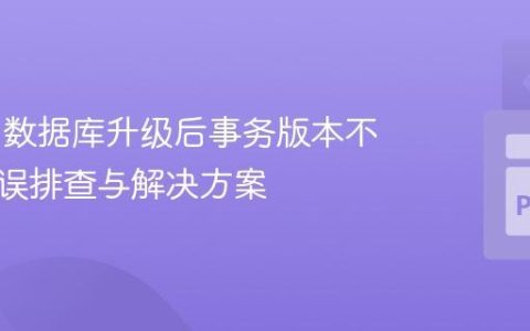 Neo4j 数据库升级后事务版本不匹配错误排查与解决方案