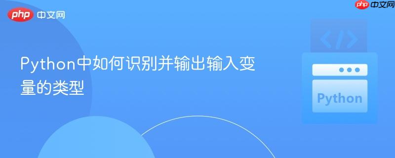 python中如何识别并输出输入变量的类型