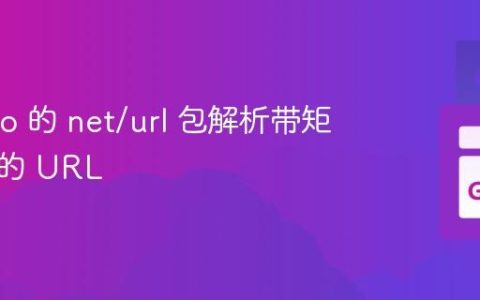 使用 Go 的 net/url 包解析带矩阵参数的 URL
