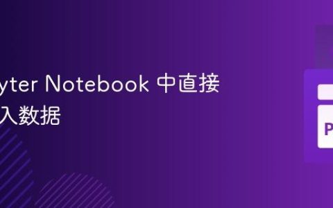 在 Jupyter Notebook 中直接获取输入数据