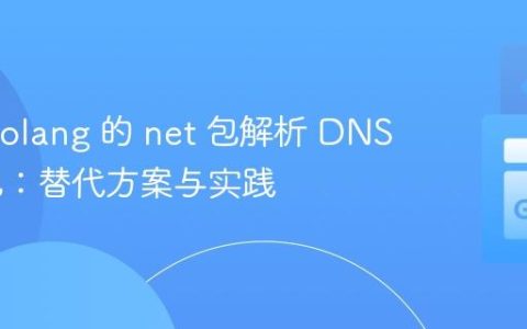 利用 Golang 的 net 包解析 DNS 数据包：替代方案与实践