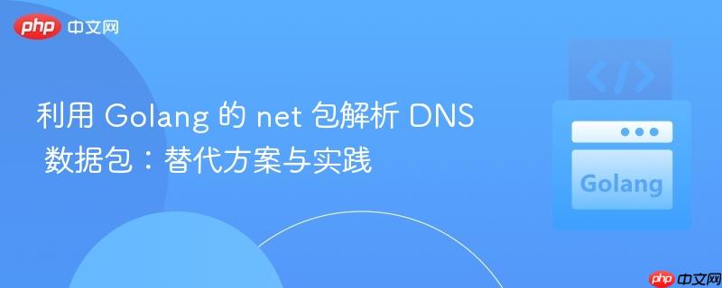 利用 golang 的 net 包解析 dns 数据包:替代方案与实践