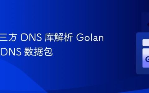 使用第三方 DNS 库解析 Golang 中的 DNS 数据包