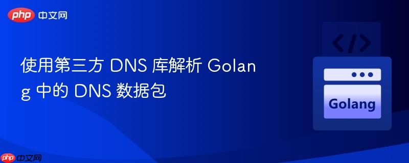使用第三方 dns 库解析 golang 中的 dns 数据包