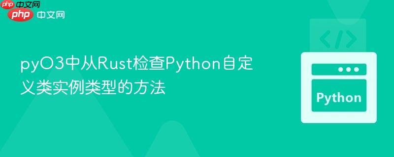 pyO3中从Rust检查Python自定义类实例类型的方法